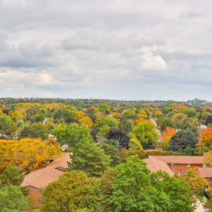 View from Thornhill condo for sale