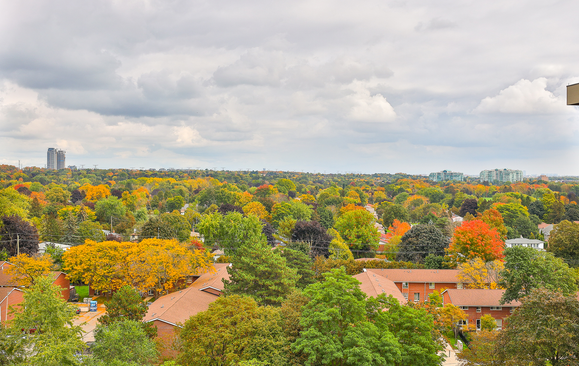 View from Thornhill condo for sale
